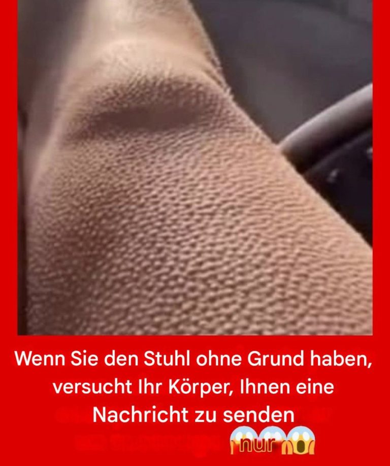 518358339 122206077350279931 8082467485020225661 N