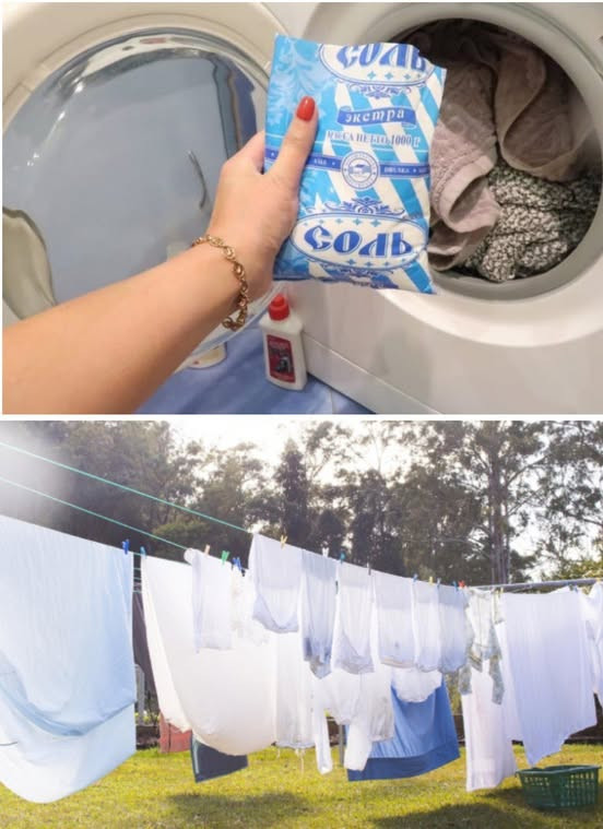 518365539 122204296862279931 6538005885442889586 N