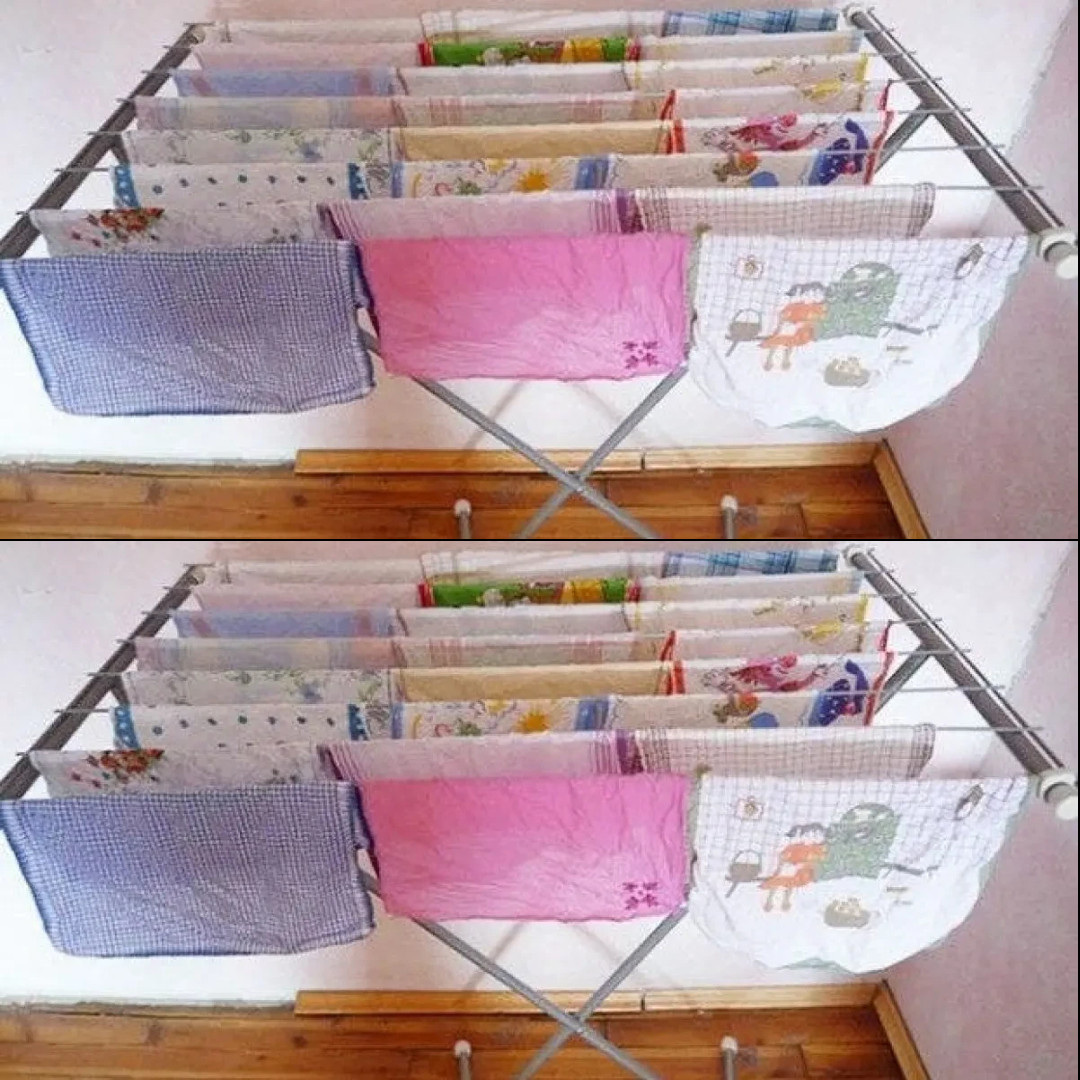 518365725 122204547638279931 6350888005771384066 N