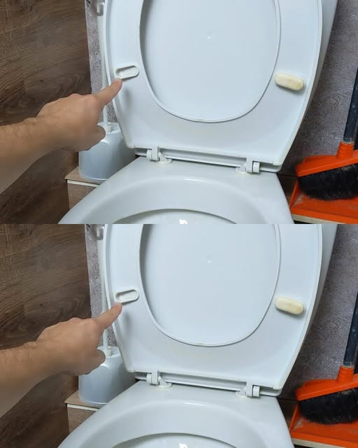 518395262 122206044506279931 3785469494592894680 N