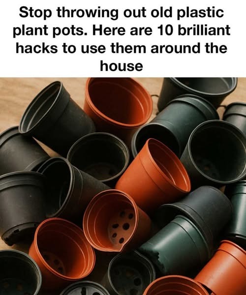 520570463 626971110420361 389977