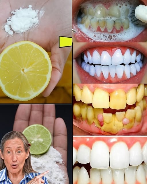 521320266 629307306853408 810685