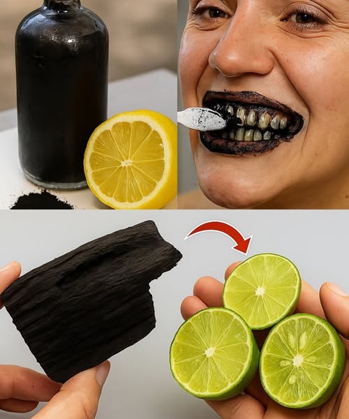 522794528 630074053443400 159441