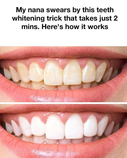 524052158 630118696772269 244785