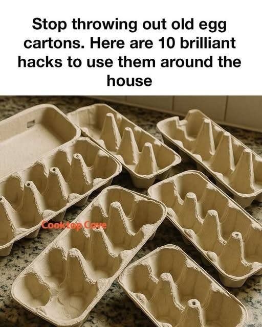 524224082 629457770171695 650455