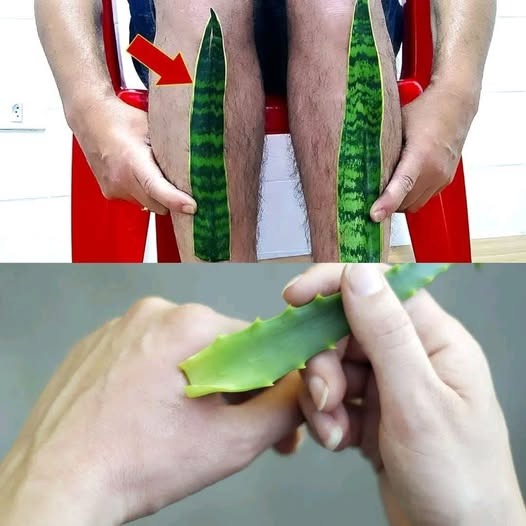 524325720 630104233440382 681936