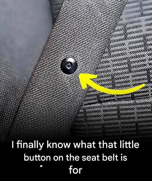 524486255 633758123074993 877436