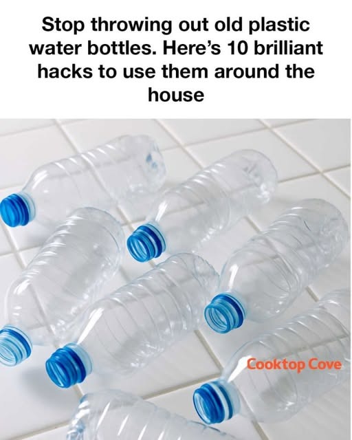 524702756 633058526478286 676319