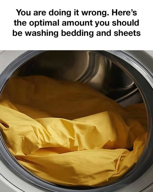 524916181 633322266451912 708406
