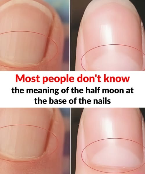 525125777 633106466473492 723490