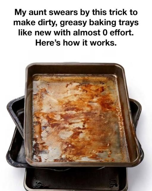 525204425 633653793085426 217182