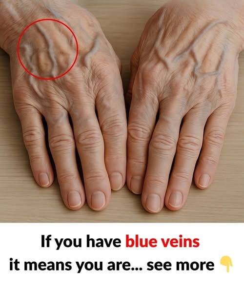 525443671 633246556459483 664259