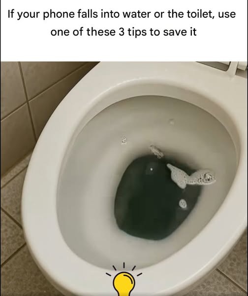 525749868 634785122972293 192046