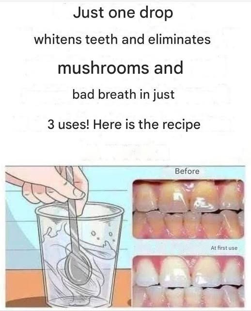 526034554 633841213066684 797084