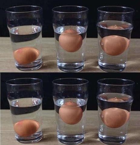 526176961 634628732987932 367010