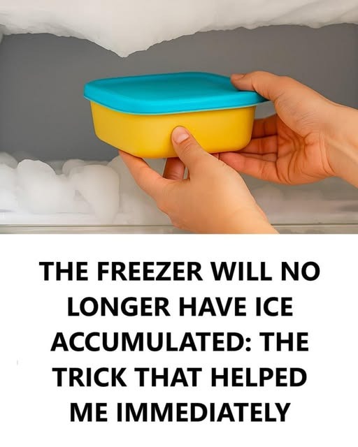 526217546 634536652997140 731761