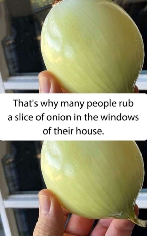 526319801 634501949667277 432829