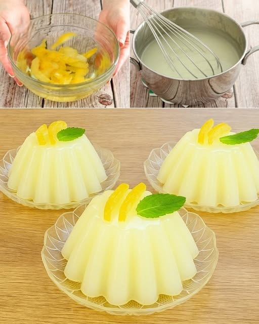 515435708 122263865360223641 748