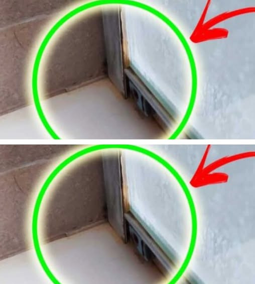 515437608 122211208256279931 4480395448212128143 N (1)