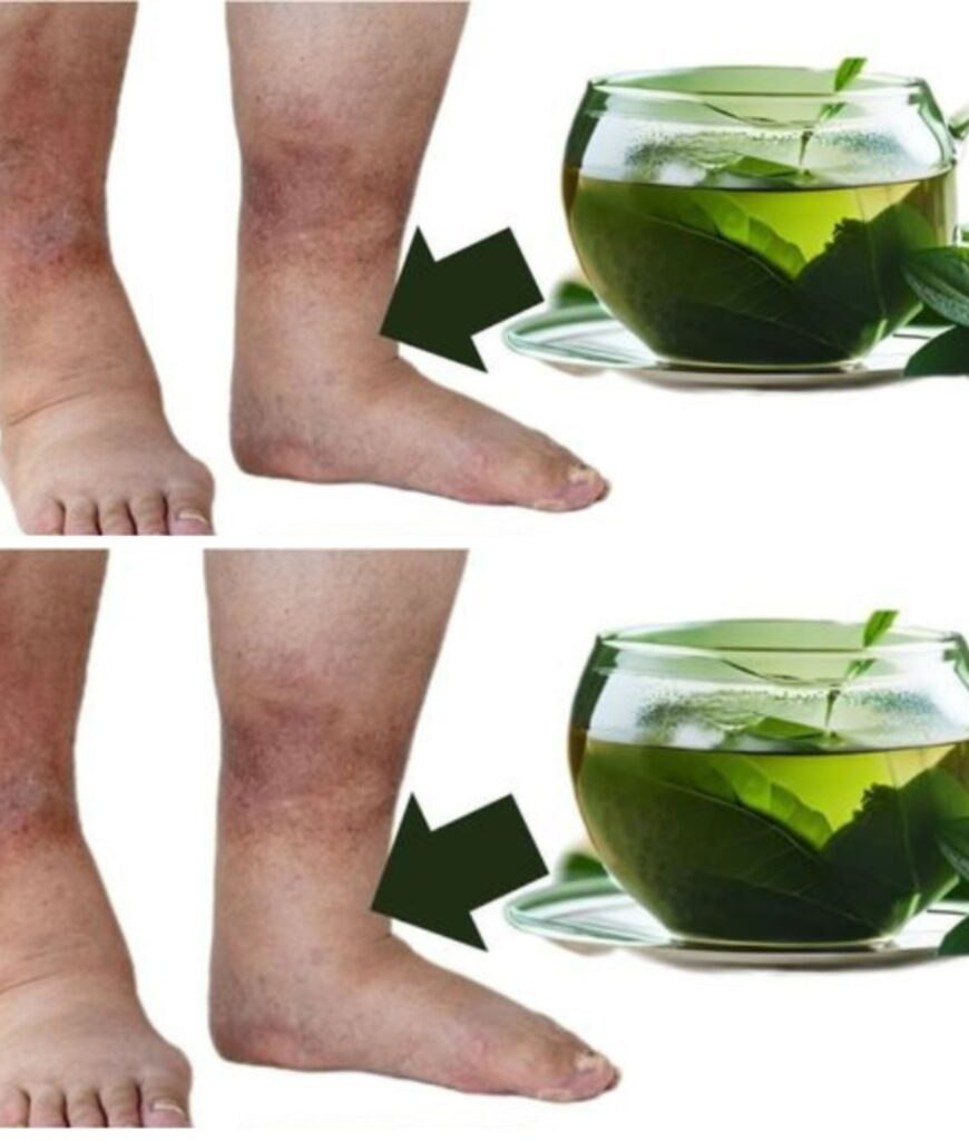 519675289 122211332822279931 3026490042031450848 N