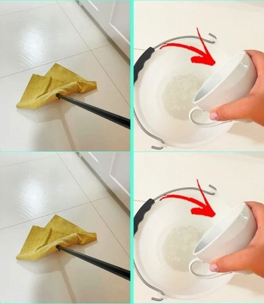 527179172 122260262348223641 634