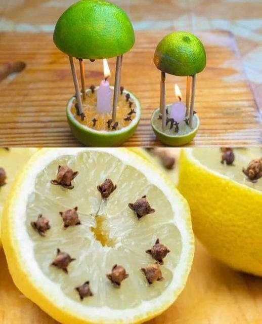 527685650 122260279952223641 220