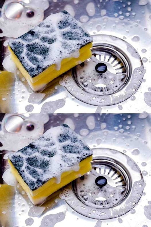 528383919 122260258238223641 419