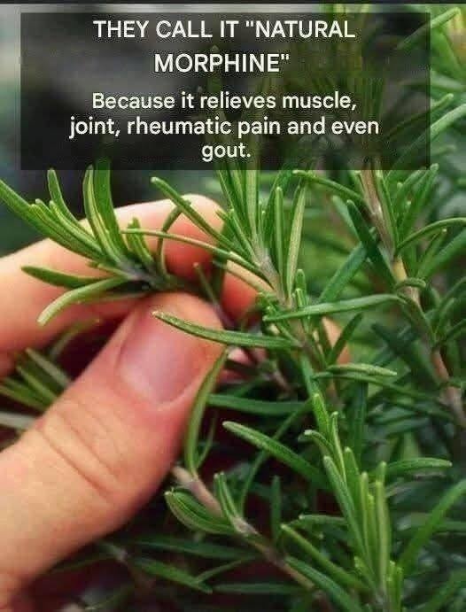 528470533 122260733318223641 612