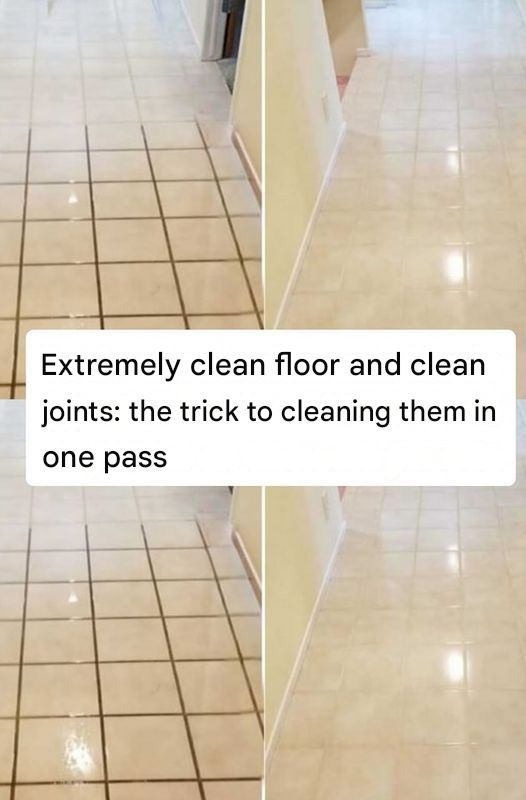 528629038 122260738664223641 576