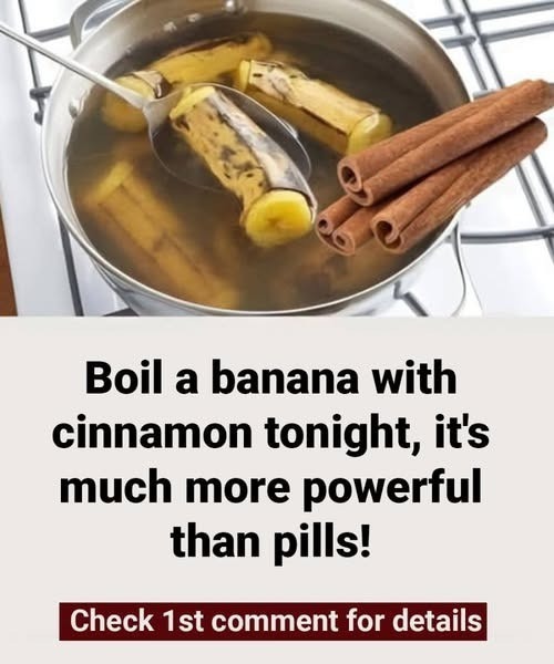 528750287 122260729994223641 375