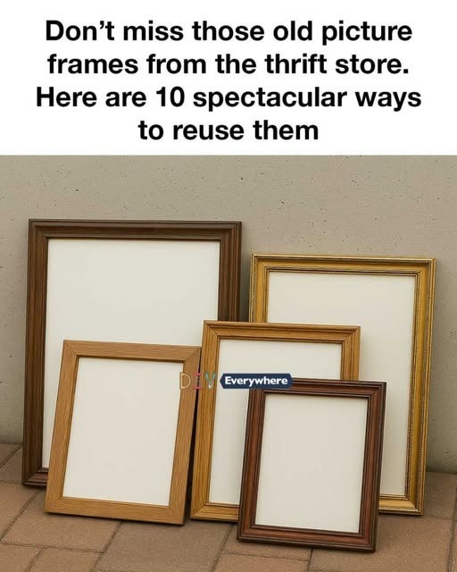 529614189 122260640618223641 142
