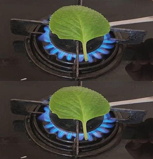 529635093 122260723340223641 3935490355983179359 N