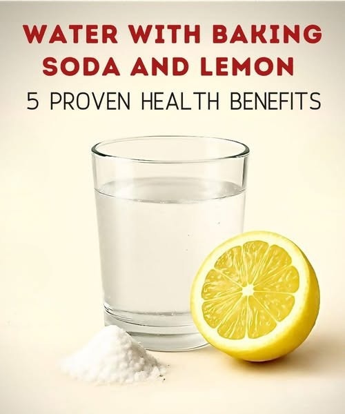 532564172 122262916904223641 240