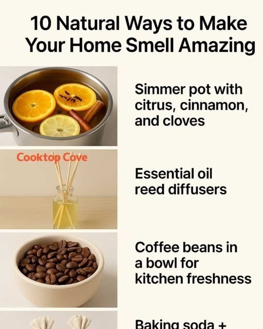 533091638 122263075328223641 511