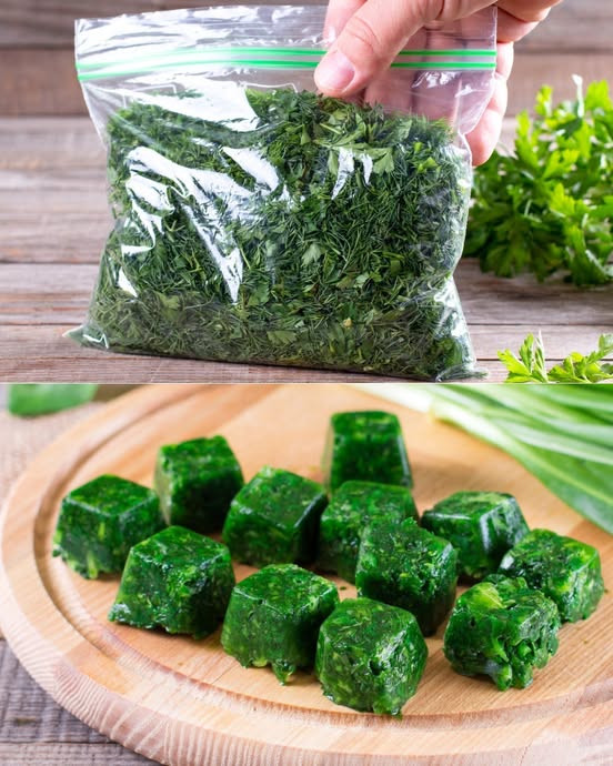 533596365 122210686802279931 6394740301843213004 N