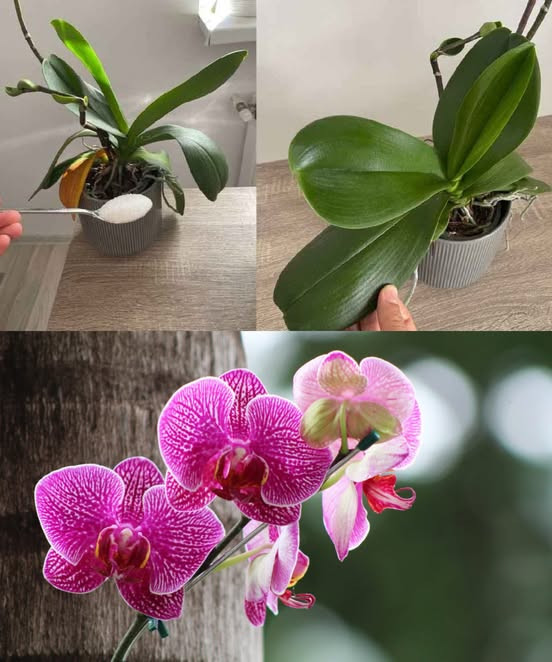 534198826 122210687528279931 2589574122409394510 N