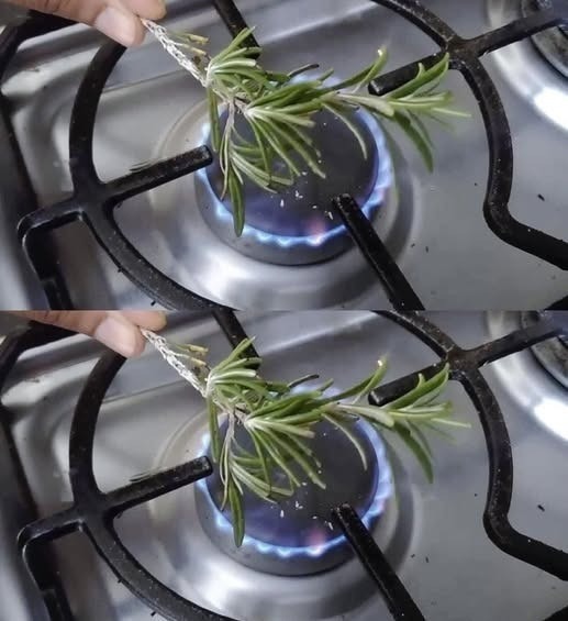 534308710 122263066082223641 176