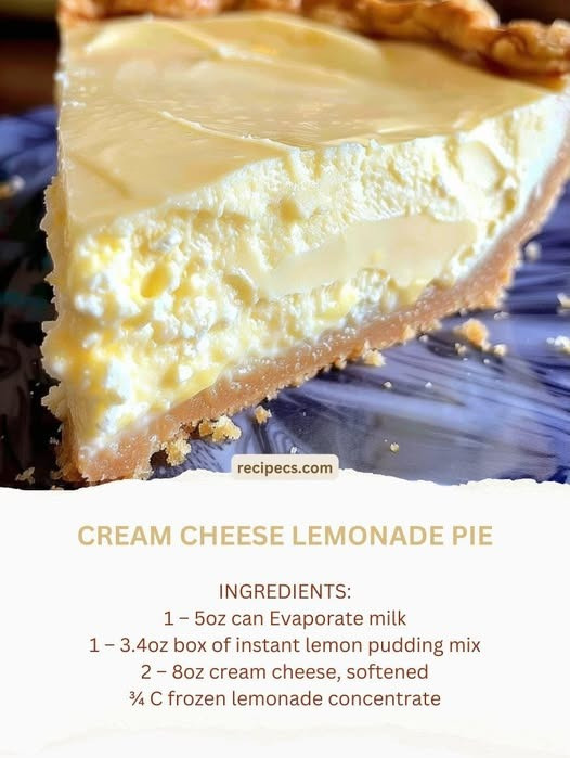 535026454 122263473590223641 8958049226286309403 N