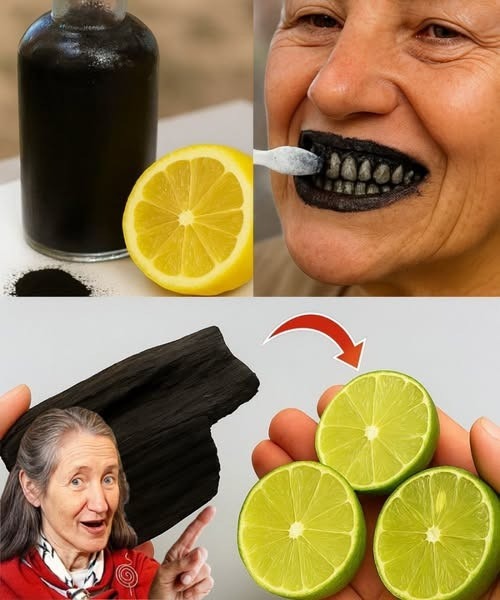 535037740 122262981950223641 223
