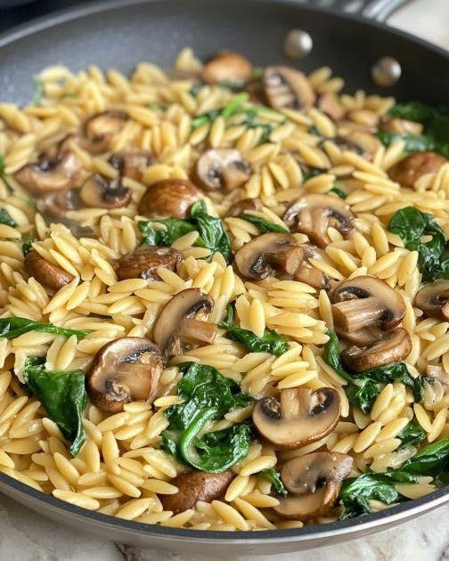 535123139 122261699402191480 232