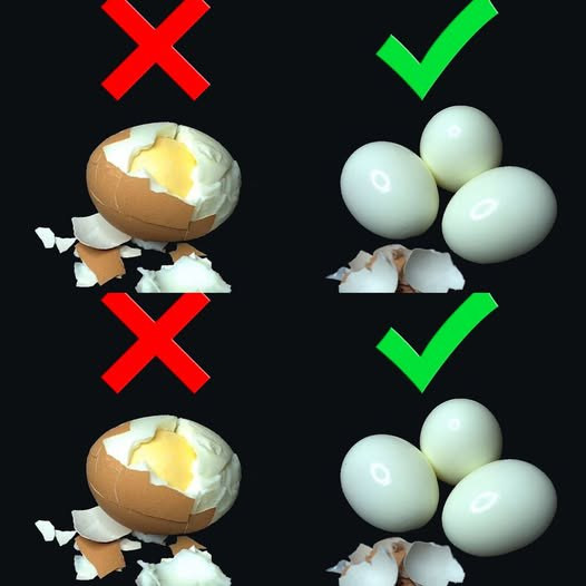 535308007 122210868656279931 2513434901363391581 N