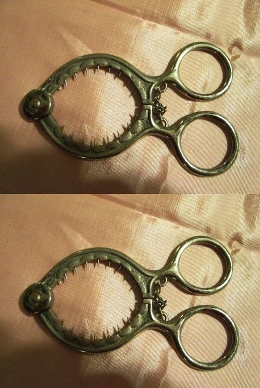 535371445 652668407850631 497049