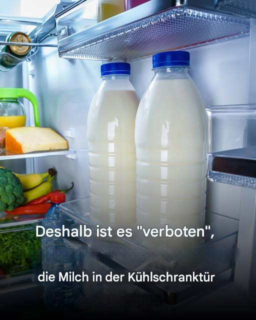 535408944 122211555758279931 3452405948219427500 N