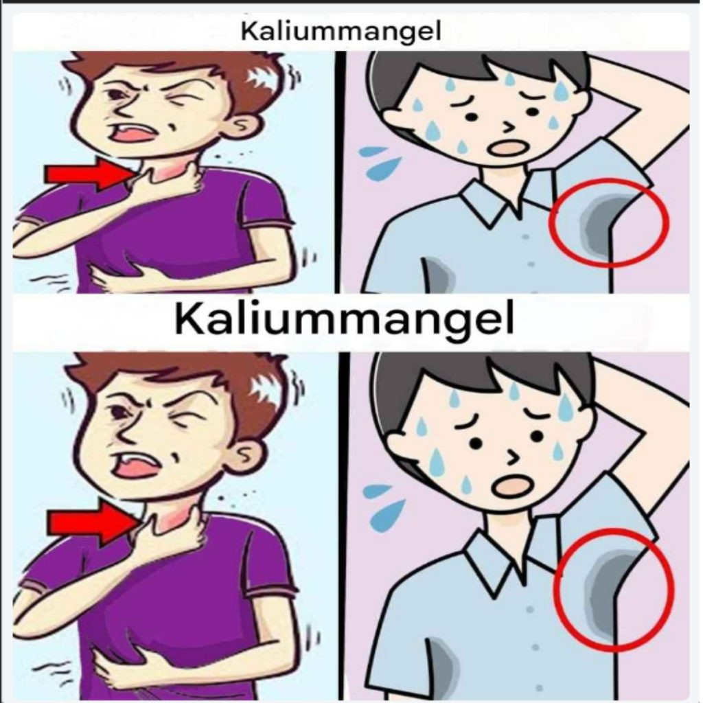 535413508 122211210026279931 8395235455164023115 N