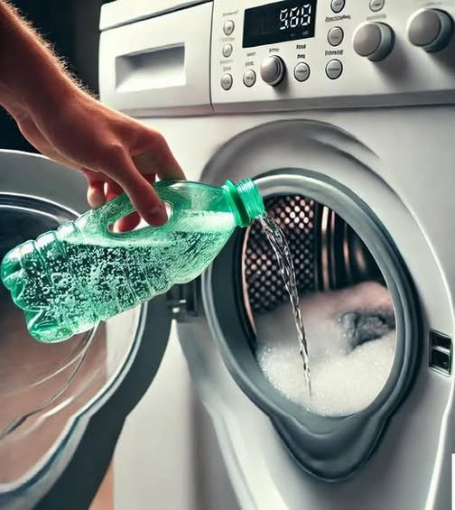 535477678 122211409646279931 306661597680013268 N