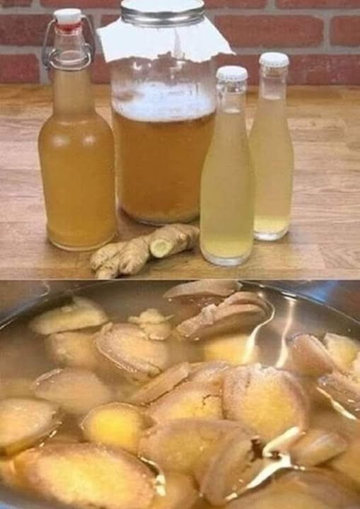 535608959 122263068926223641 105