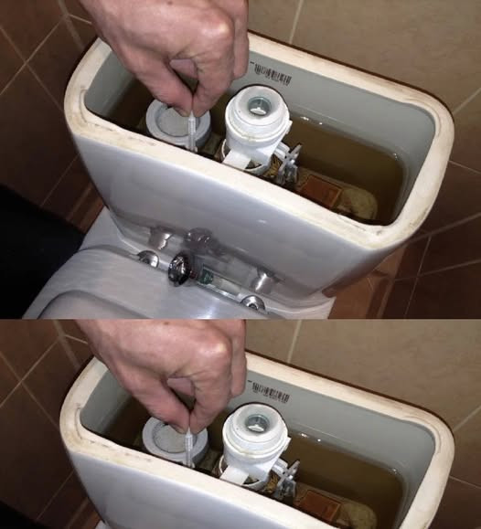 535618473 122210987726279931 3098074910074102506 N