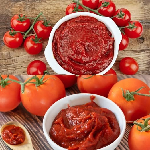 536267353 122263717994223641 1132752836661493252 N