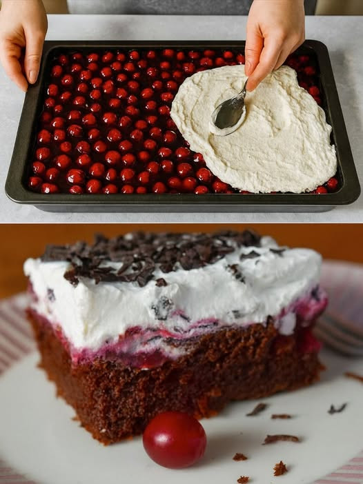 536269346 122210754566279931 2260515562493192646 N