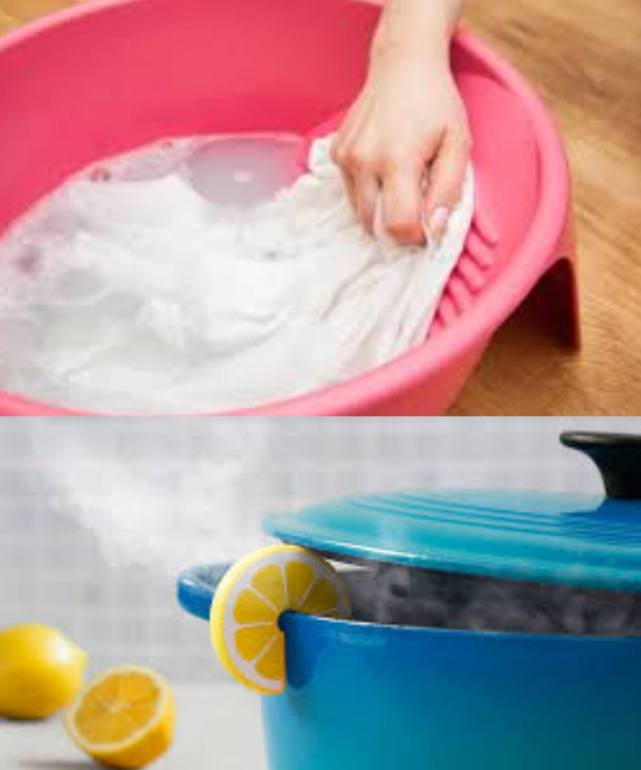 536281103 122211219722279931 2365009872405316056 N (1)